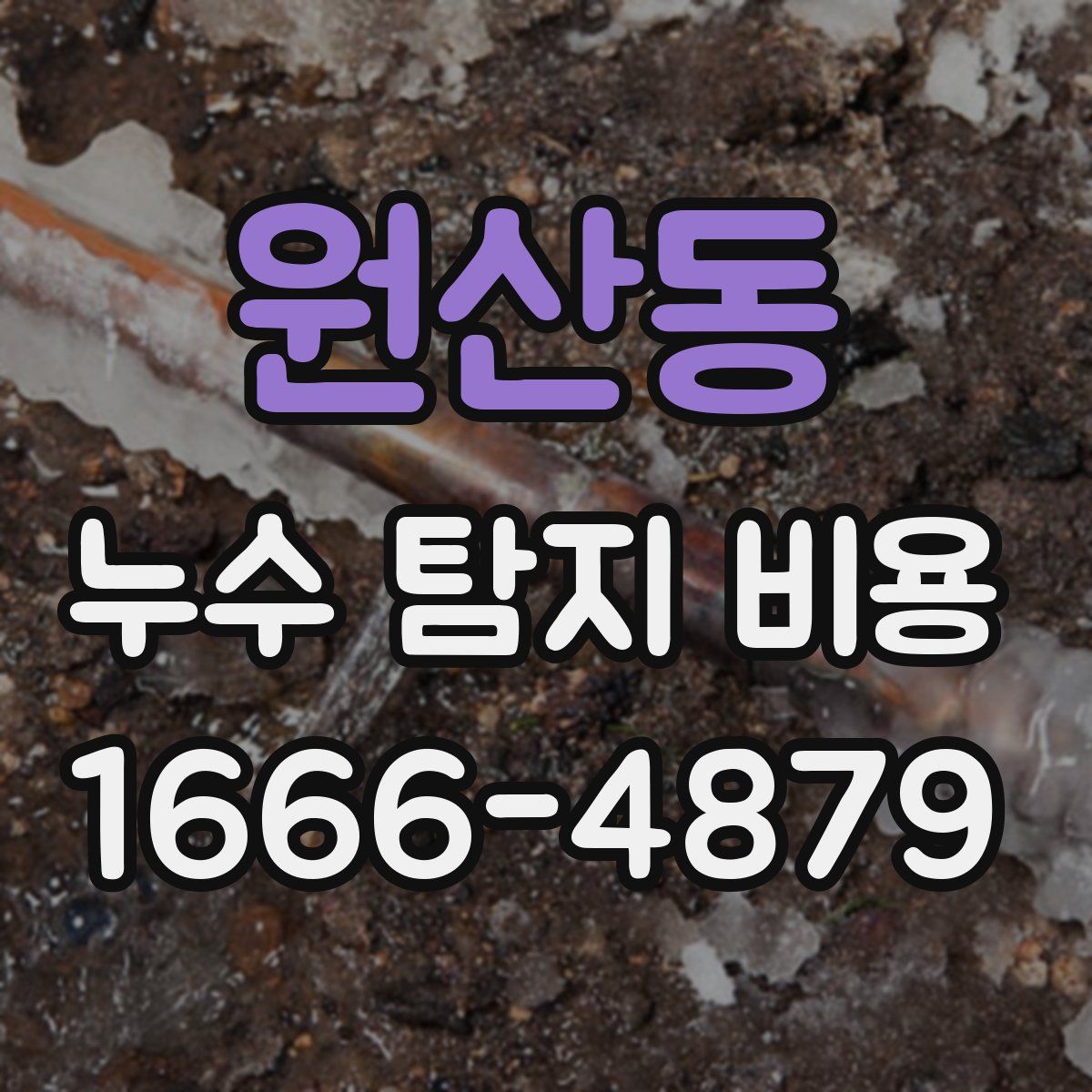 원산동 누수 탐지 비용