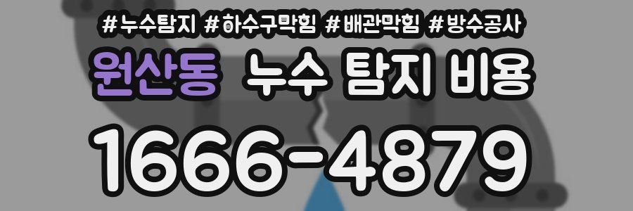 원산동 누수 탐지 비용