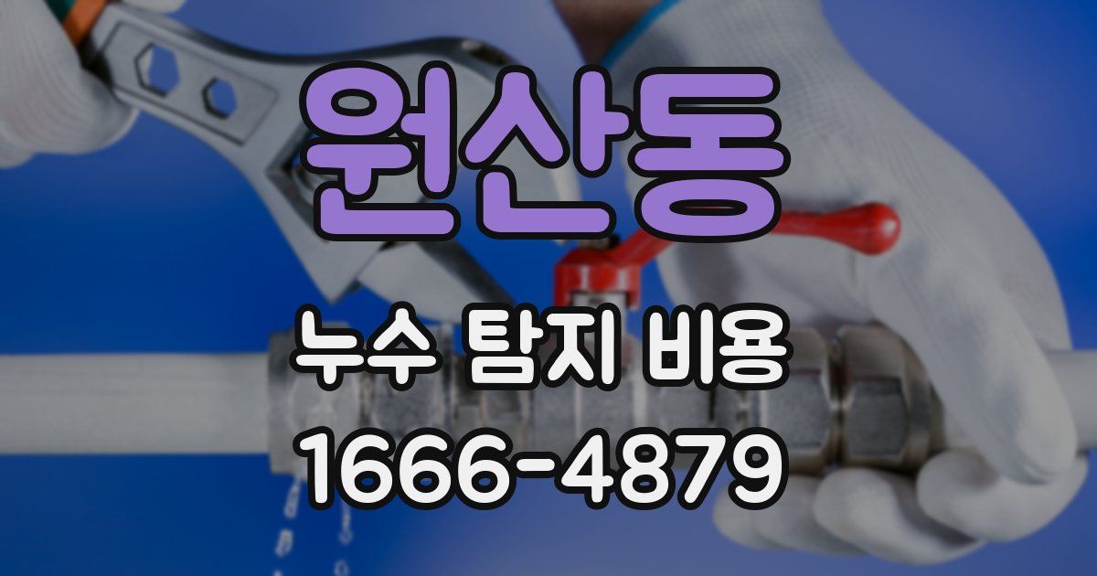 원산동 누수 탐지 비용