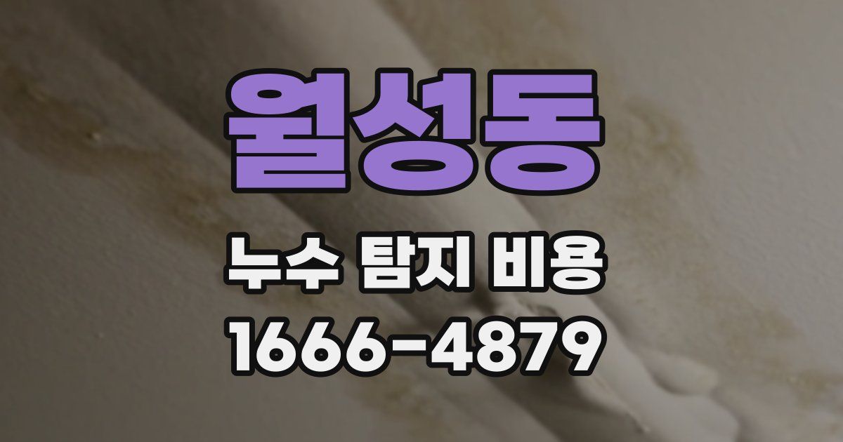 월성동 누수 탐지 비용