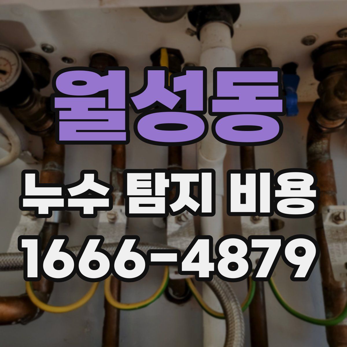 월성동 누수 탐지 비용