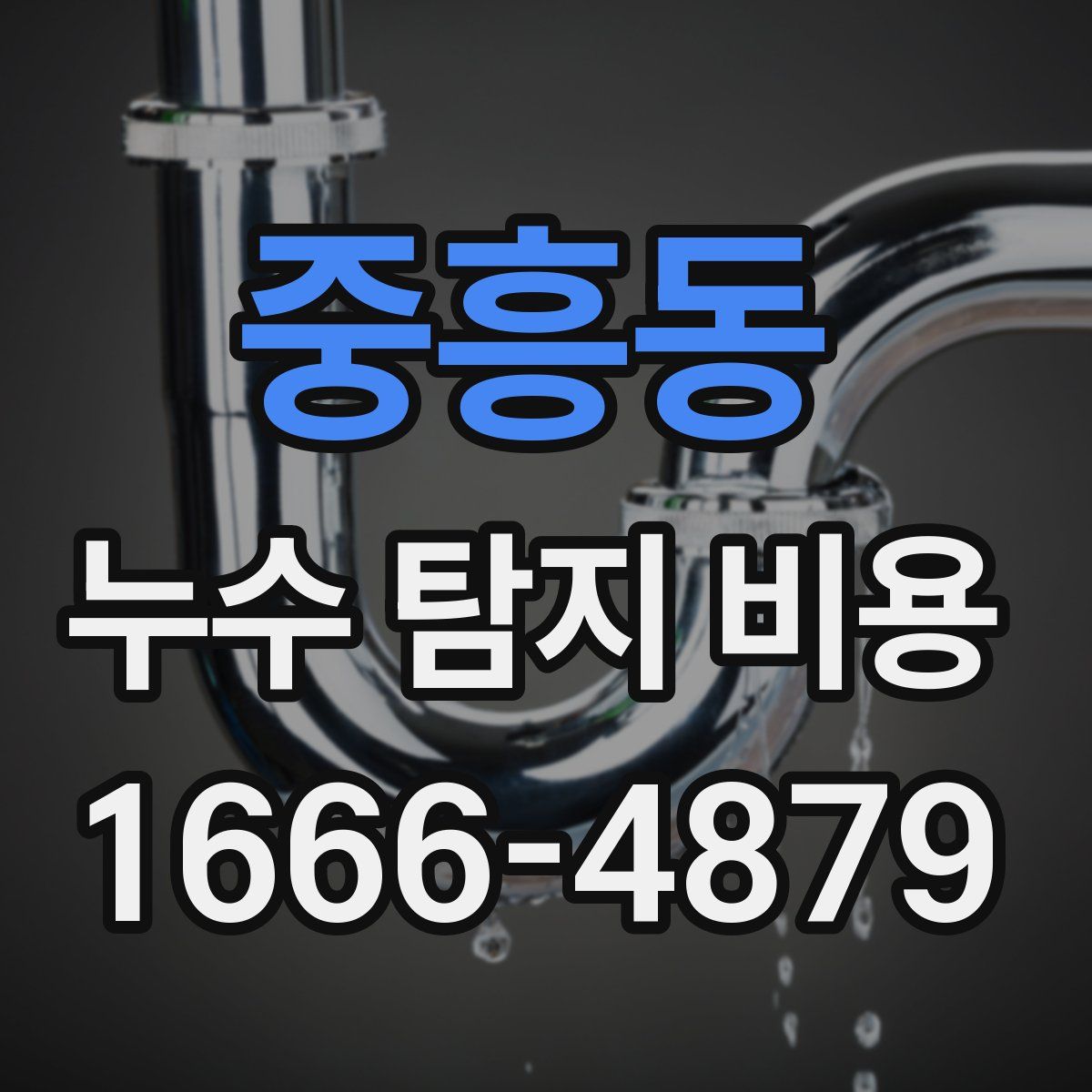 중흥동 누수 탐지 비용
