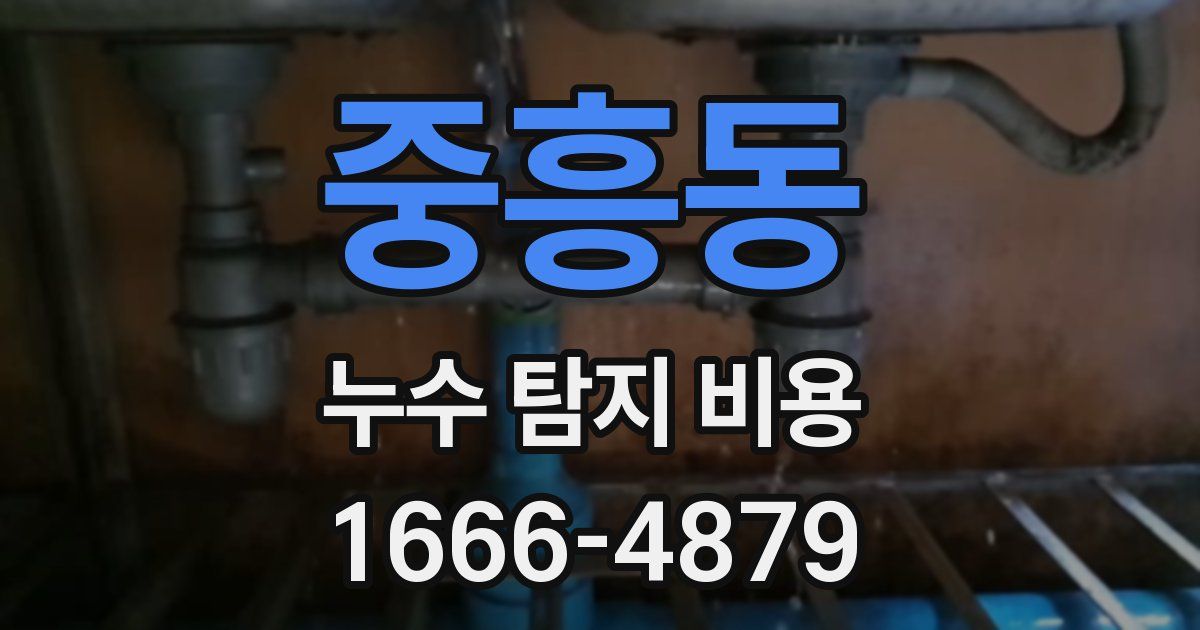 중흥동 누수 탐지 비용