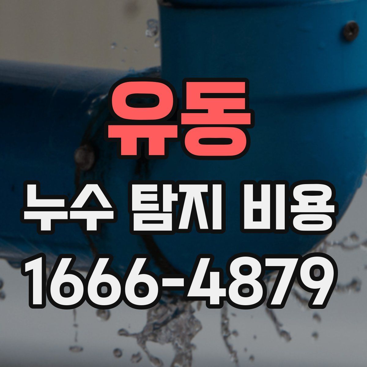 유동 누수 탐지 비용