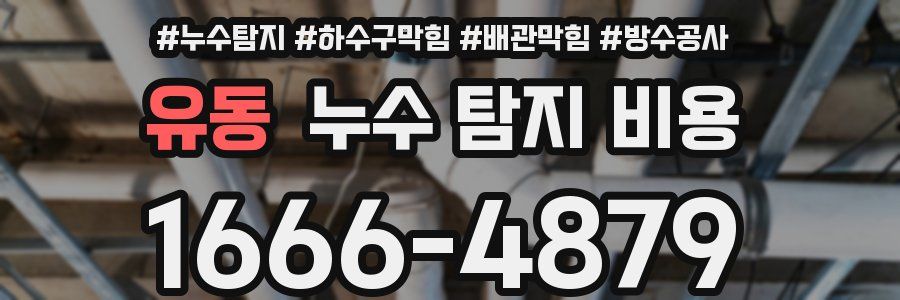 유동 누수 탐지 비용