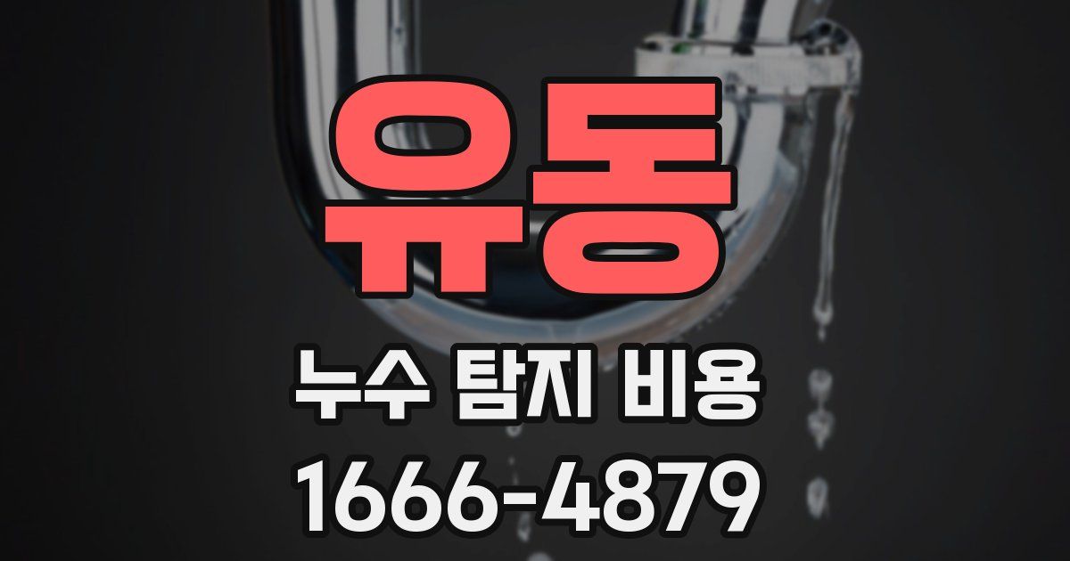 유동 누수 탐지 비용