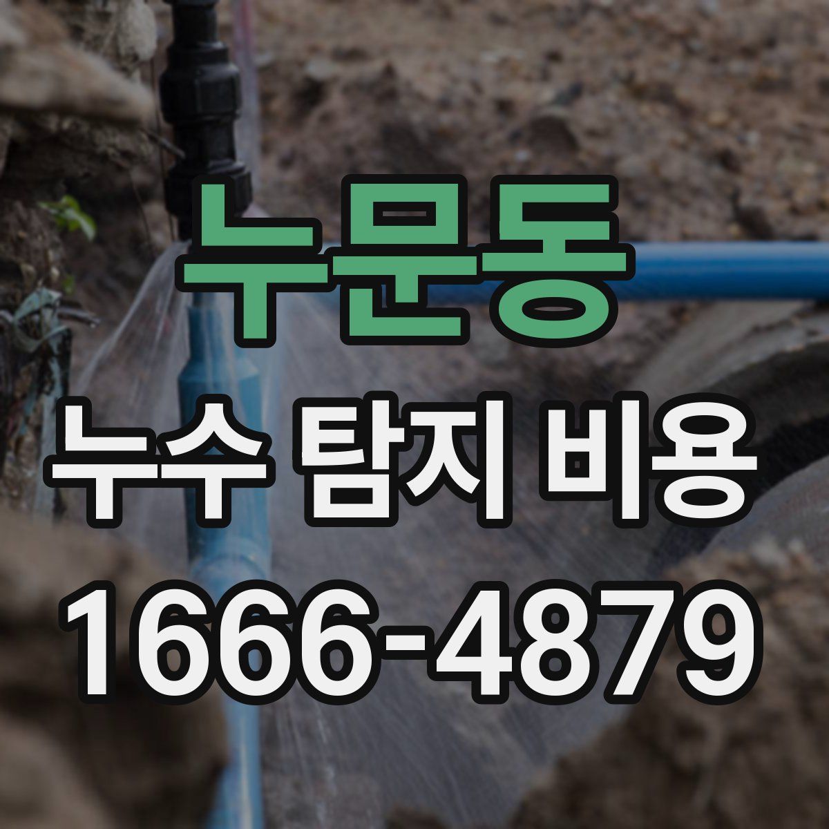 누문동 누수 탐지 비용
