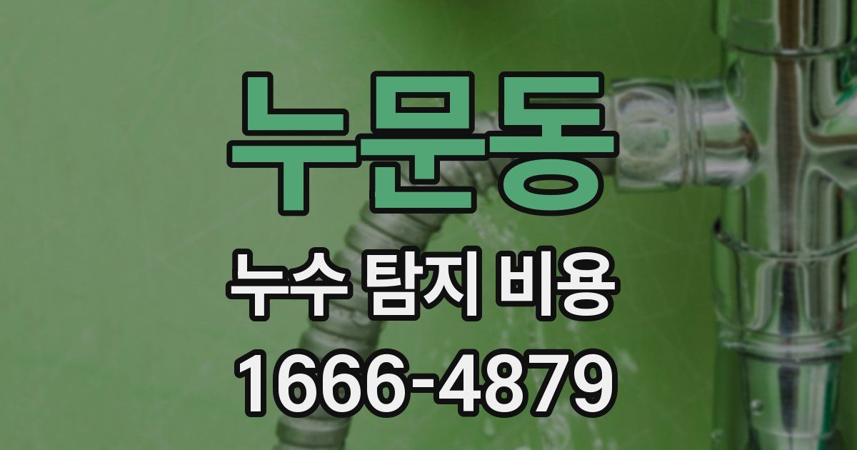누문동 누수 탐지 비용