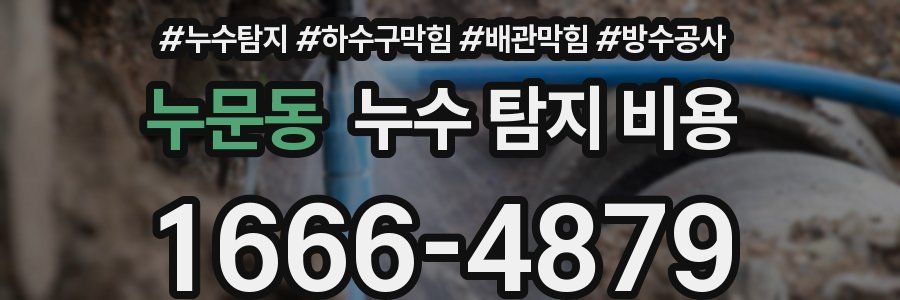 누문동 누수 탐지 비용