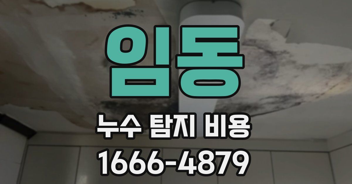 임동 누수 탐지 비용