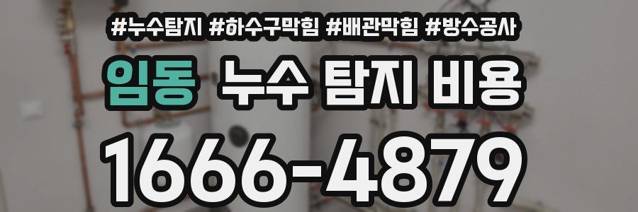 임동 누수 탐지 비용