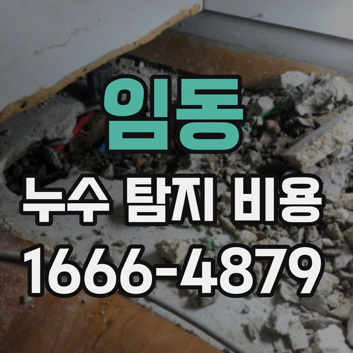 임동 누수 탐지 비용
