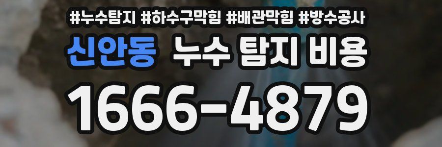 신안동 누수 탐지 비용