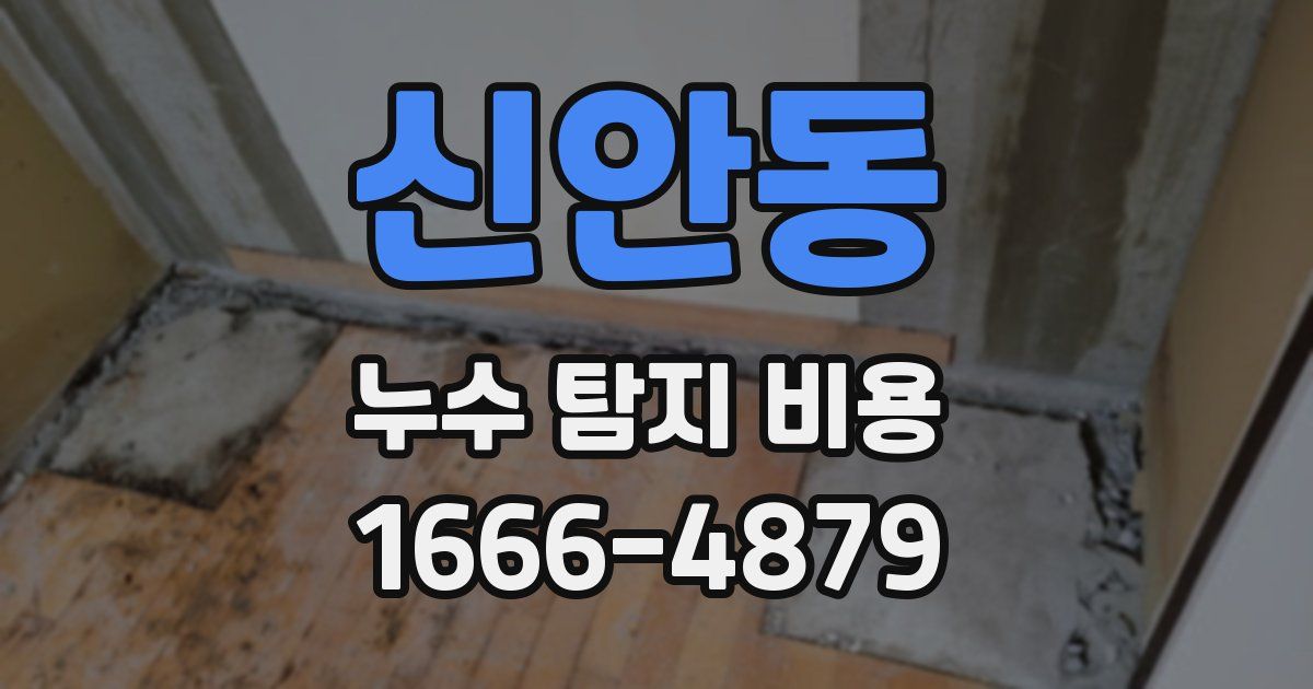 신안동 누수 탐지 비용