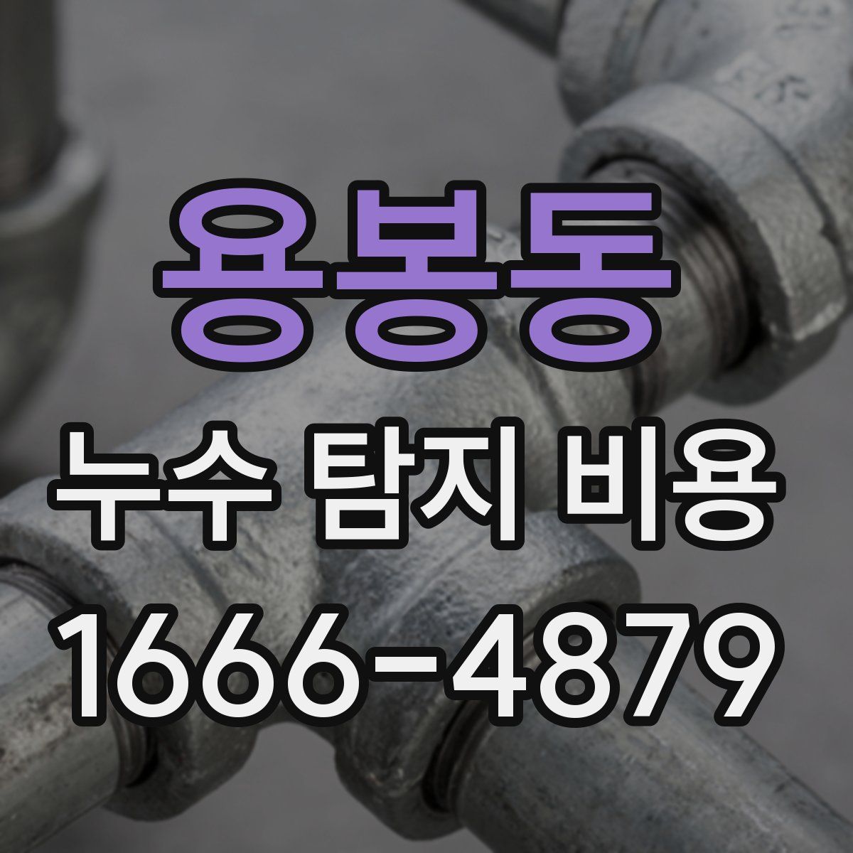 용봉동 누수 탐지 비용