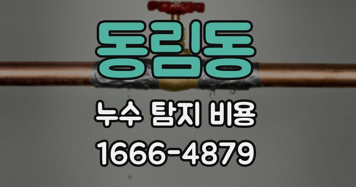 동림동 누수 탐지 비용