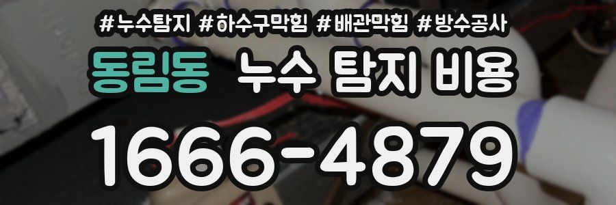 동림동 누수 탐지 비용