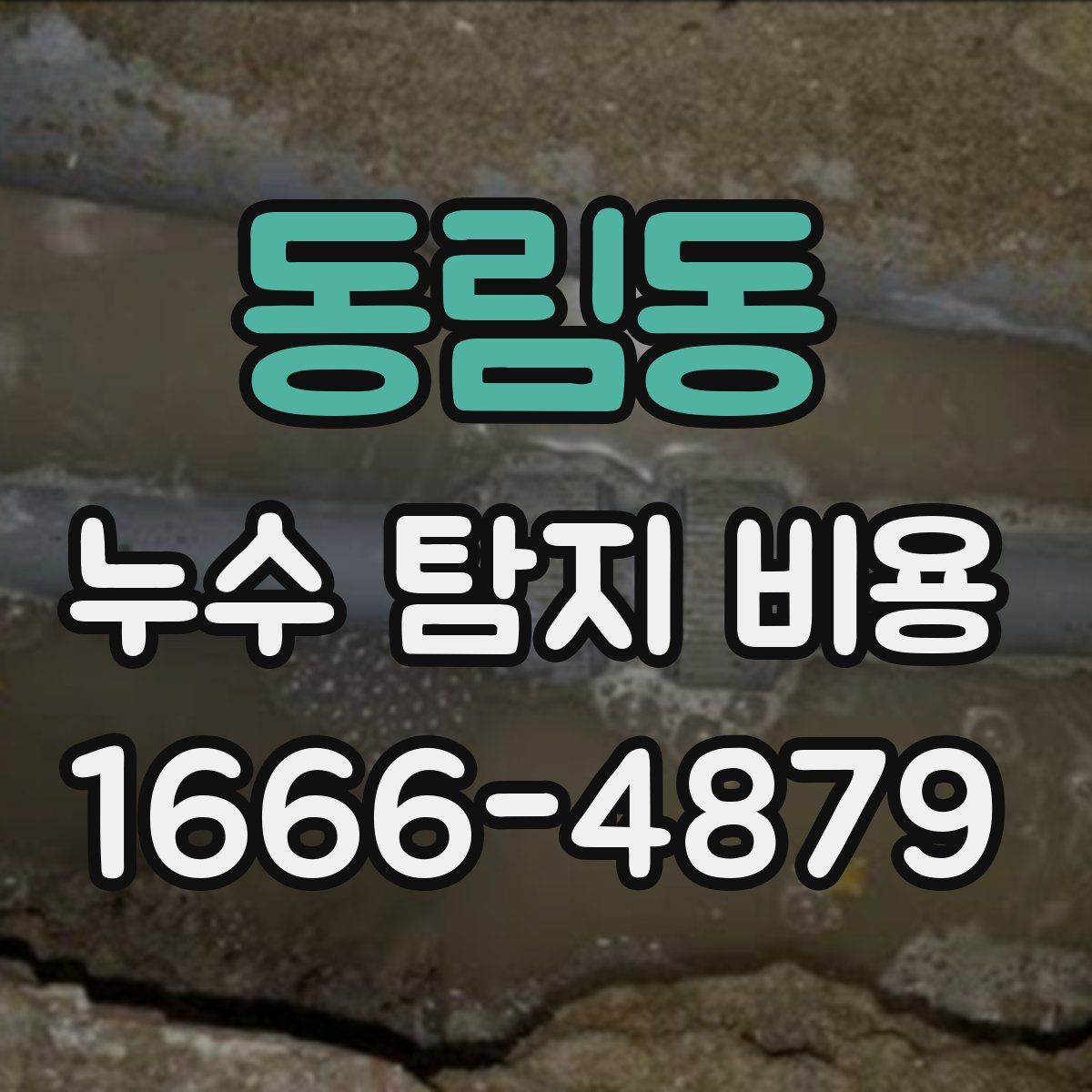 동림동 누수 탐지 비용