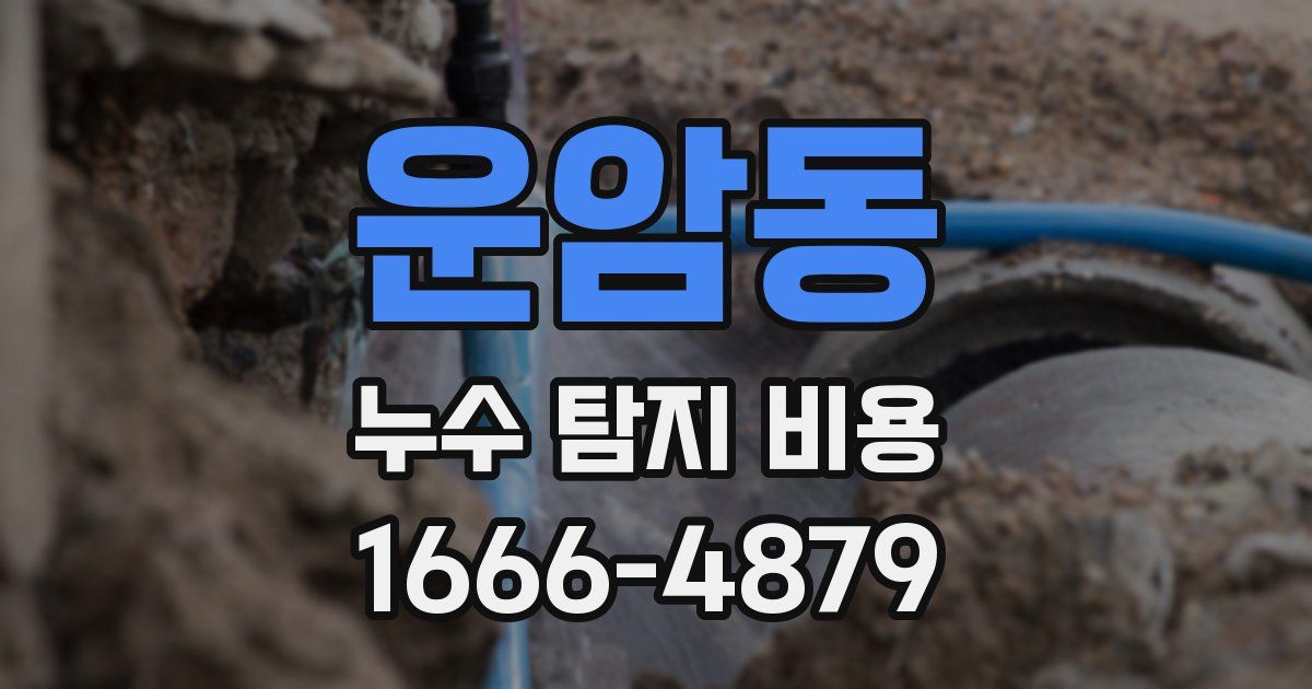 운암동 누수 탐지 비용