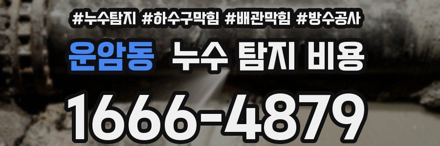 운암동 누수 탐지 비용