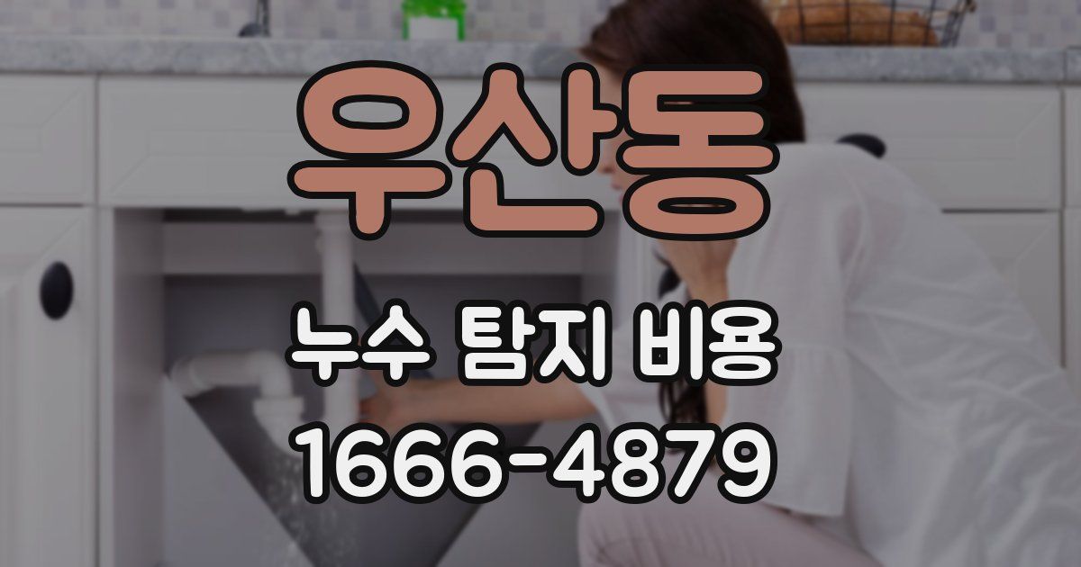 우산동 누수 탐지 비용