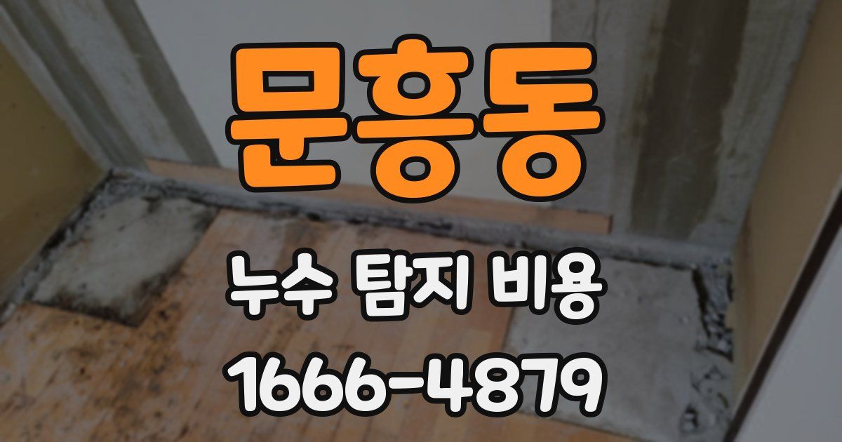 문흥동 누수 탐지 비용