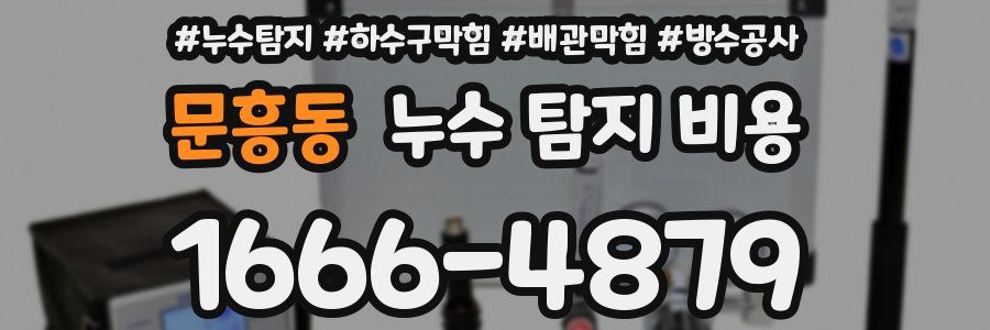문흥동 누수 탐지 비용