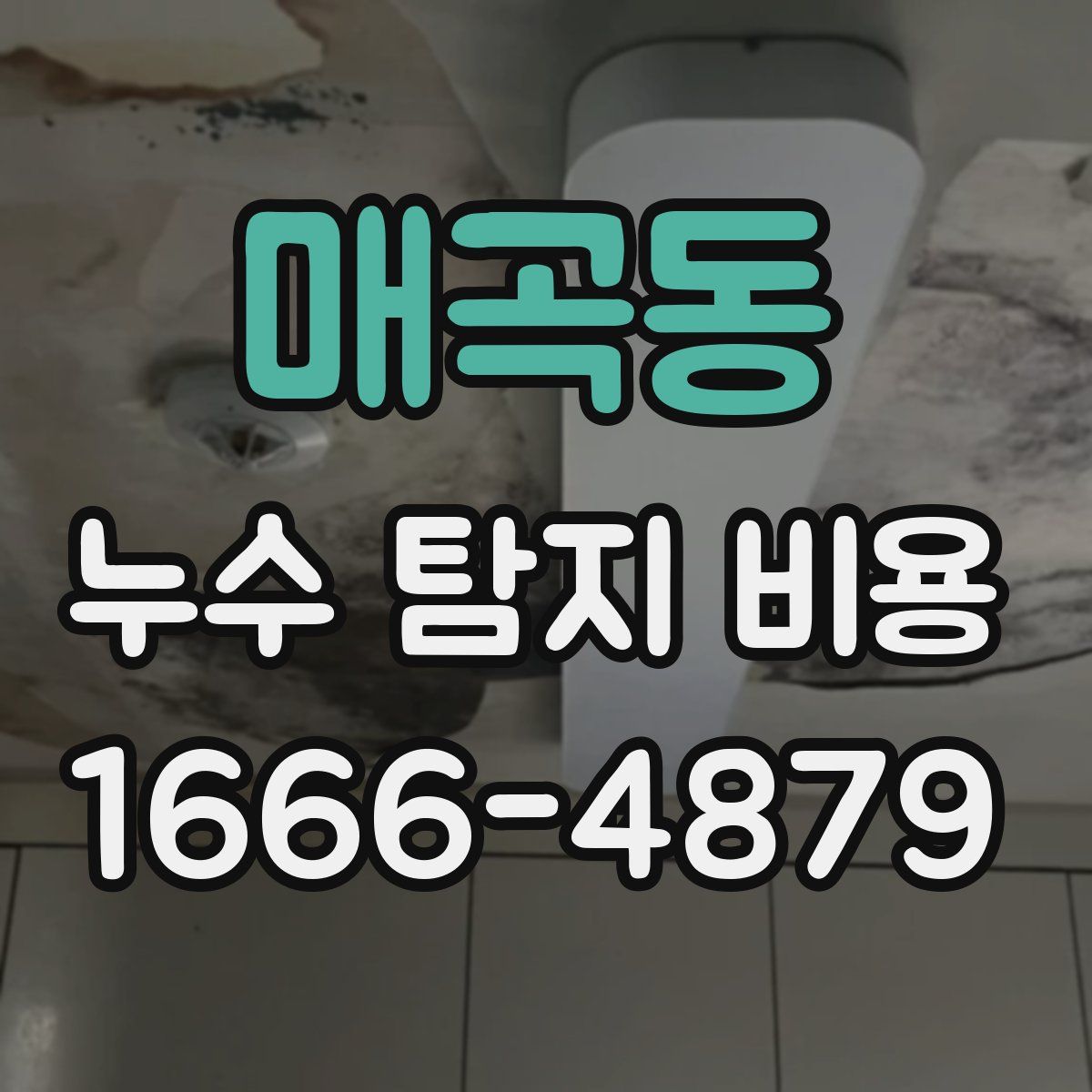 매곡동 누수 탐지 비용