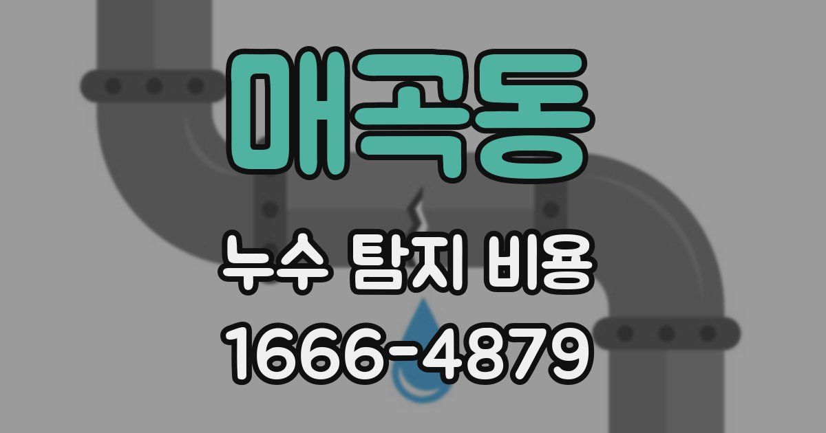 매곡동 누수 탐지 비용