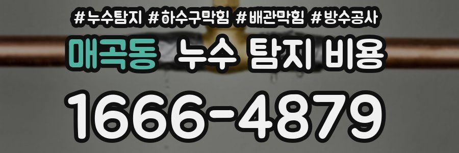 매곡동 누수 탐지 비용