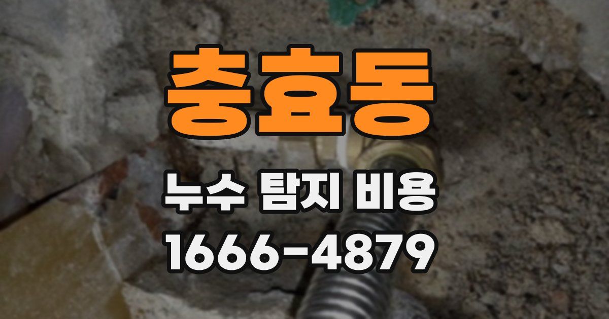 충효동 누수 탐지 비용