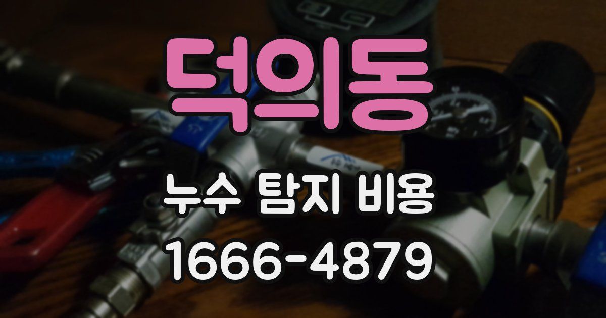 덕의동 누수 탐지 비용