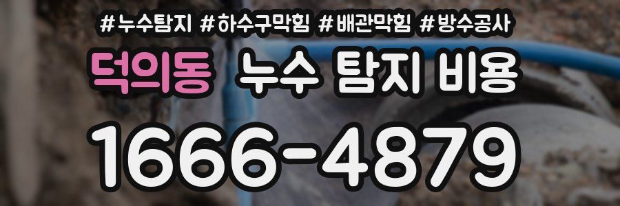 덕의동 누수 탐지 비용