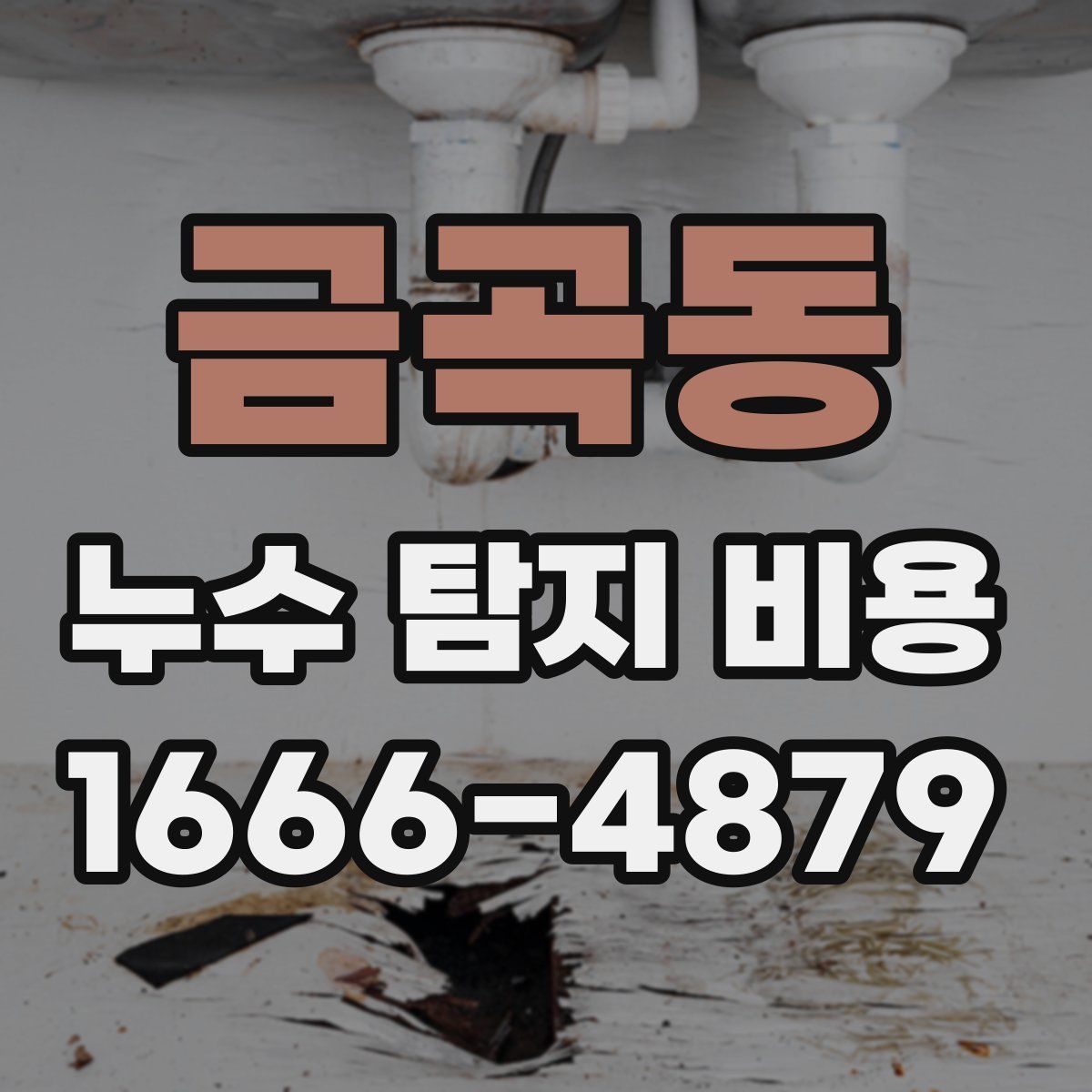 금곡동 누수 탐지 비용