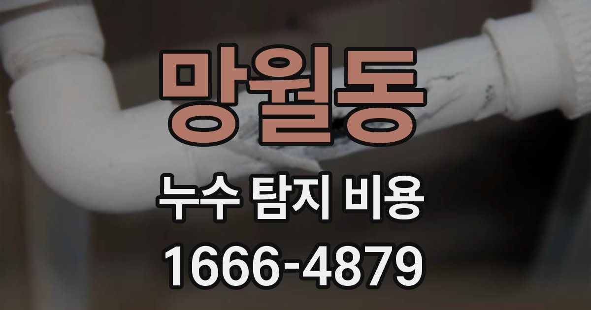 망월동 누수 탐지 비용