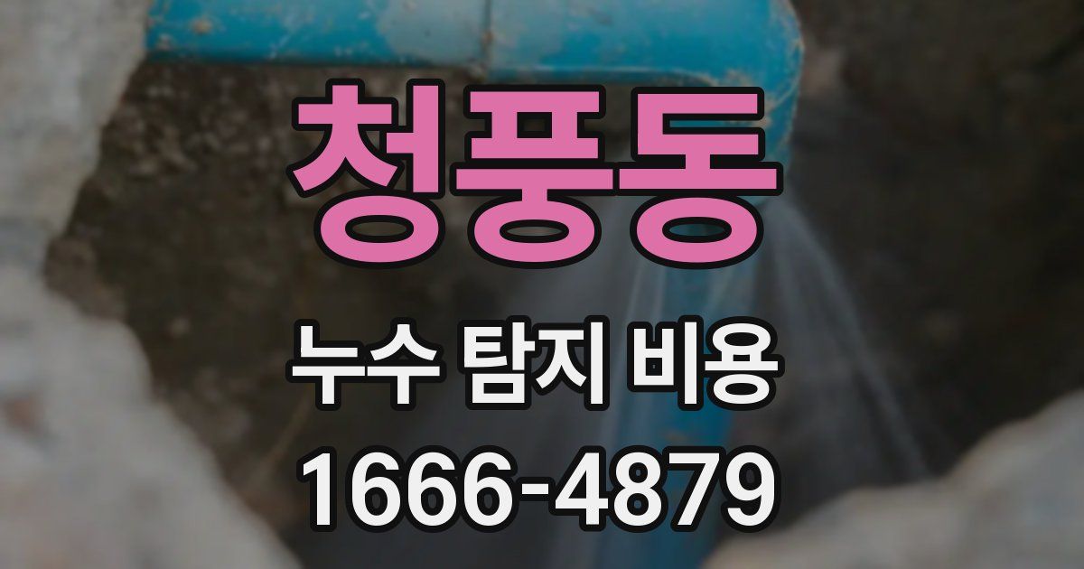 청풍동 누수 탐지 비용