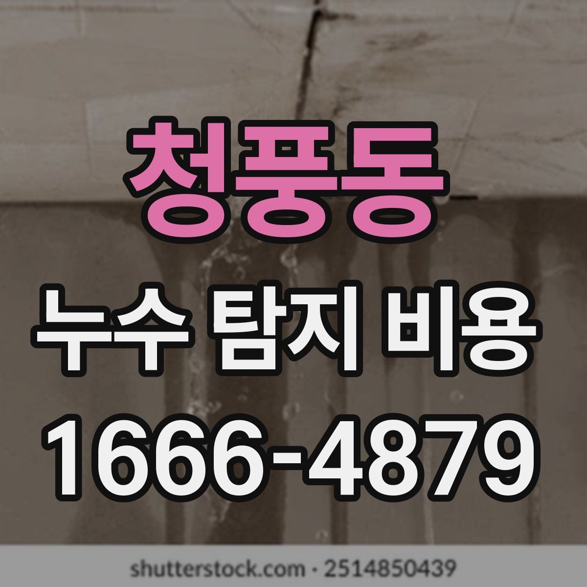 청풍동 누수 탐지 비용