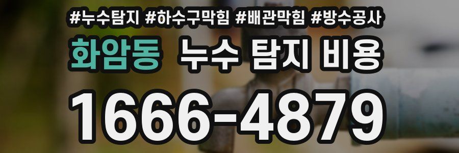 화암동 누수 탐지 비용