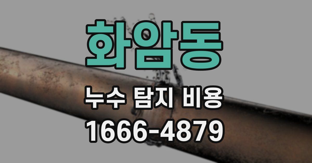 화암동 누수 탐지 비용