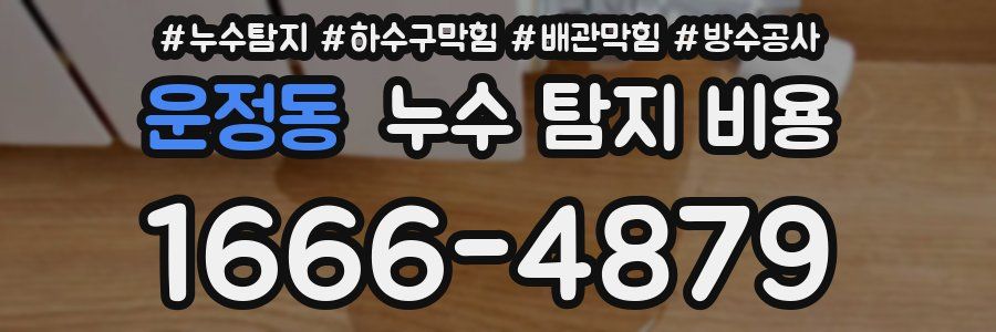 운정동 누수 탐지 비용