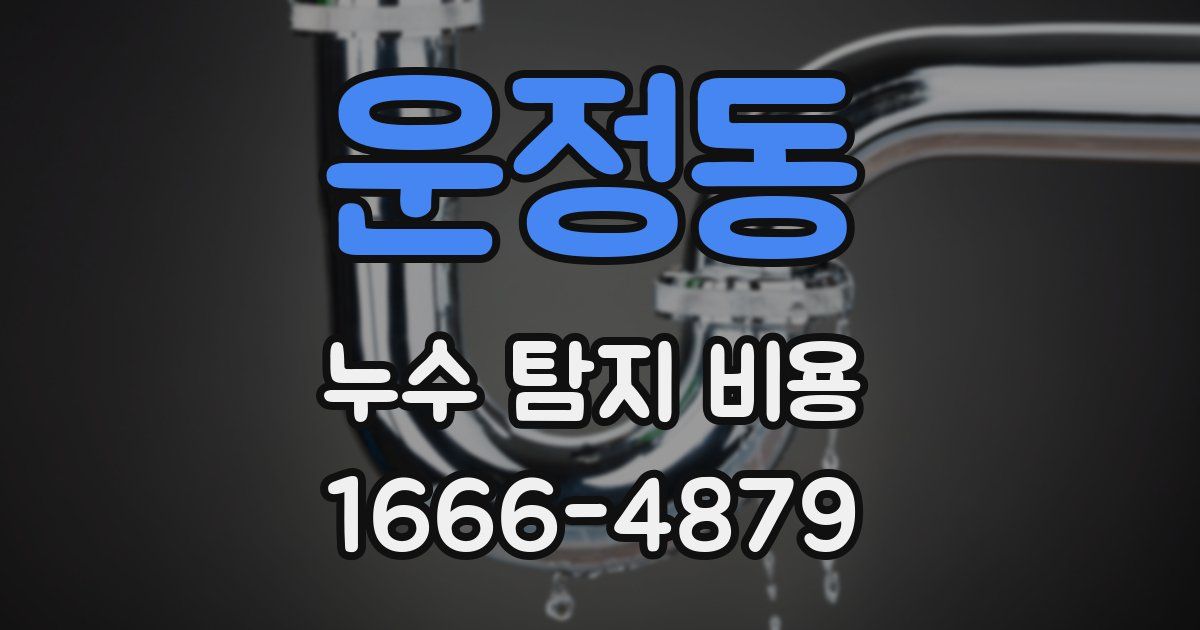 운정동 누수 탐지 비용