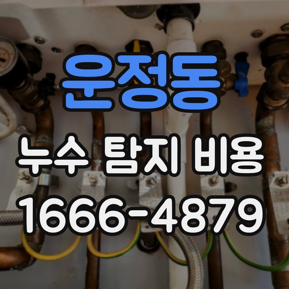 운정동 누수 탐지 비용