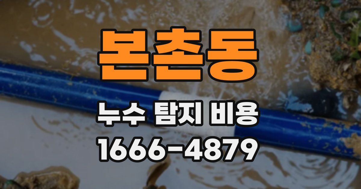 본촌동 누수 탐지 비용