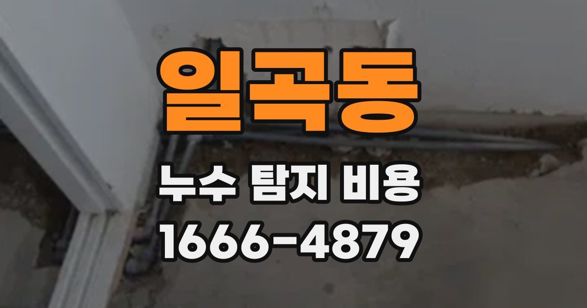 일곡동 누수 탐지 비용
