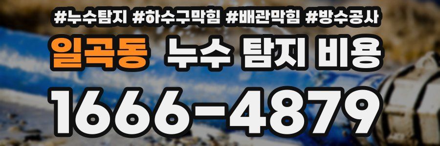 일곡동 누수 탐지 비용