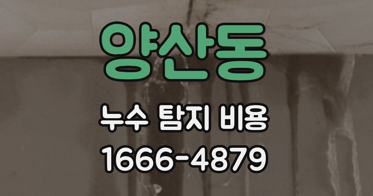 양산동 누수 탐지 비용
