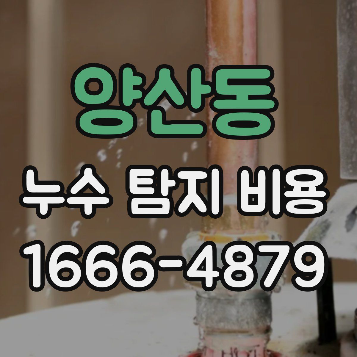 양산동 누수 탐지 비용