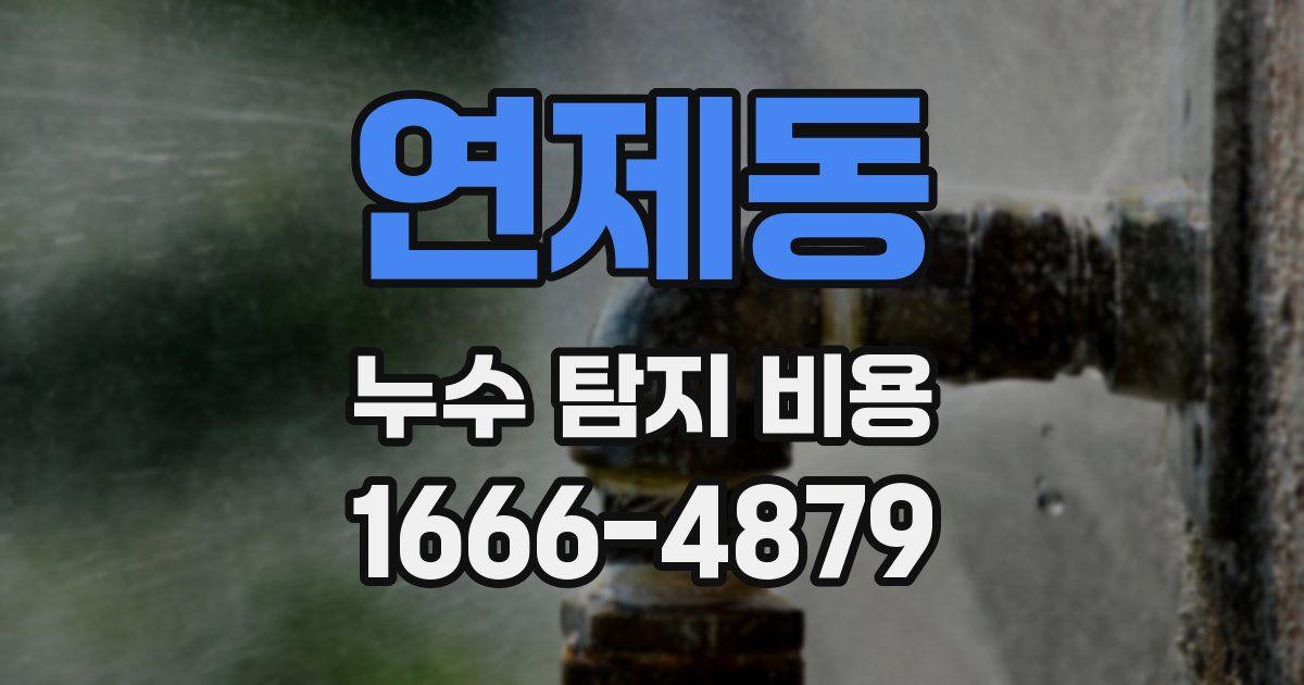연제동 누수 탐지 비용