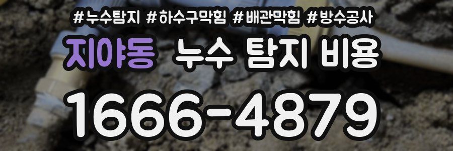 지야동 누수 탐지 비용