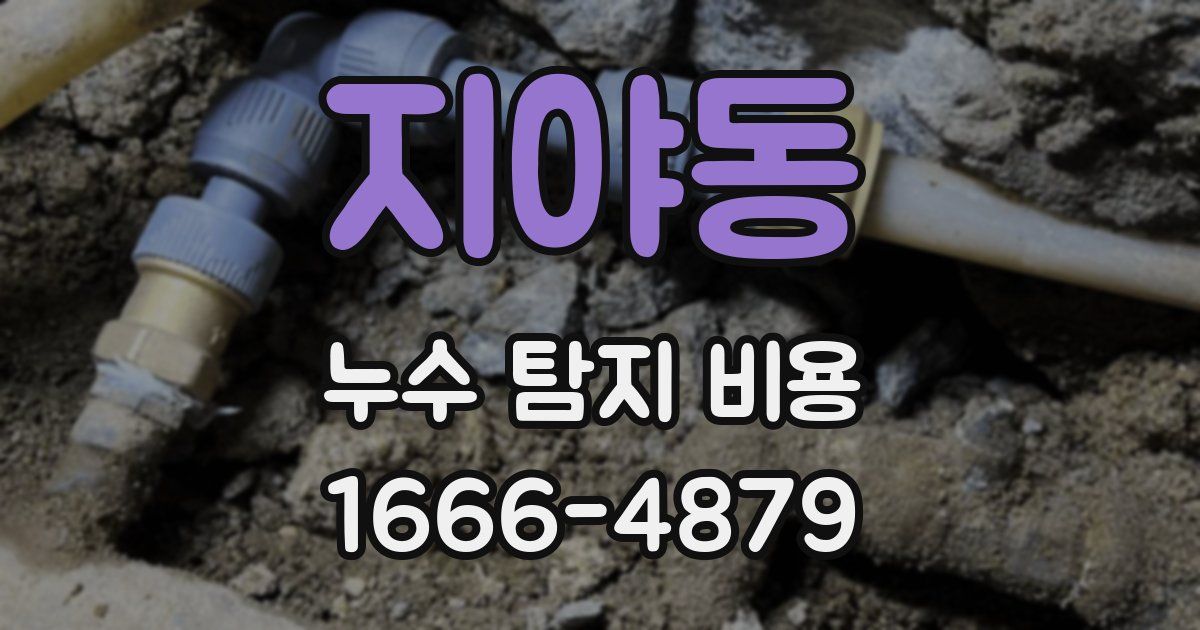 지야동 누수 탐지 비용
